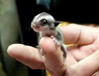 baby9.jpg