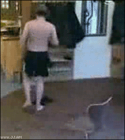 Sandals_glued_prank.gif