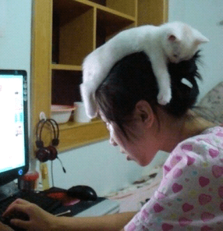 cats%20and%20dogs%20%2810%29.png