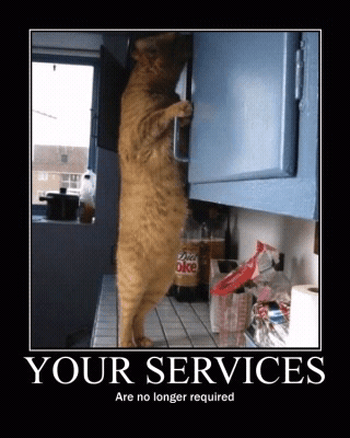 cats%20and%20dogs%20%2817%29.png