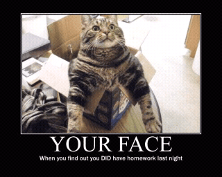 cats%20and%20dogs%20%2818%29.png