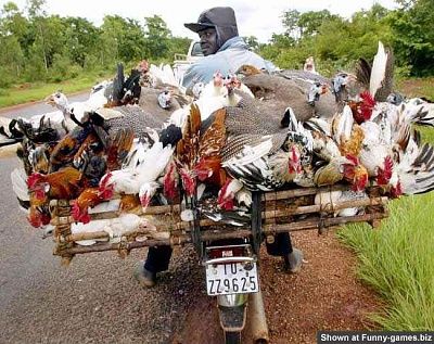 57-cocksonbike.jpg