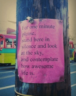 1165831698.png