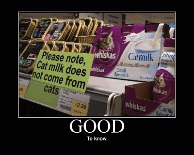 1277446995.png