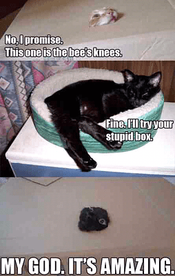 351124650.png