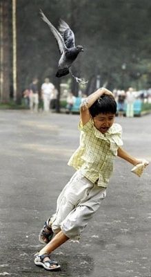 pigeonshit.jpg