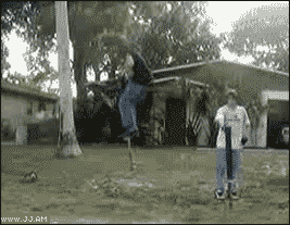 pogowned.gif