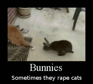 9874catraep.gif