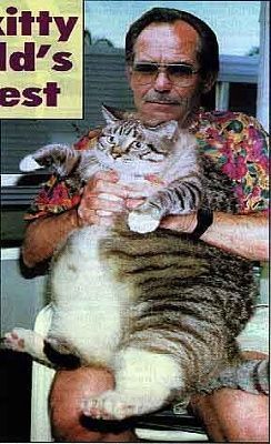 fatcat.jpg