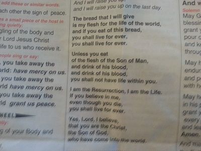 20130113_151153.jpg