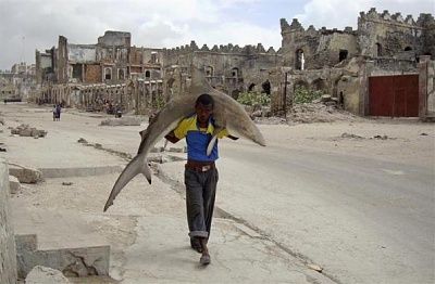 manshark.jpg
