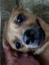 Name:  lover.jpg
Views: 3061
Size:  6.7 KB