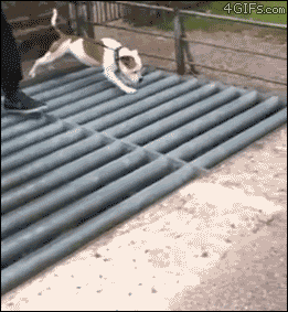 83709278.gif