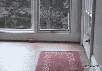 83709273.gif