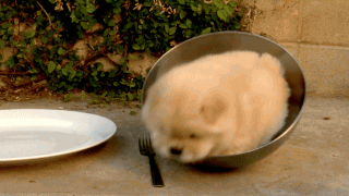83709271.gif
