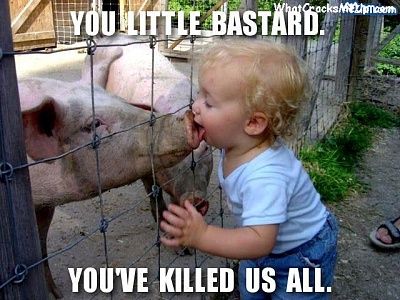 754pigfluuu.jpg