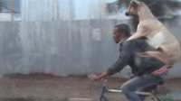 goat200.gif
