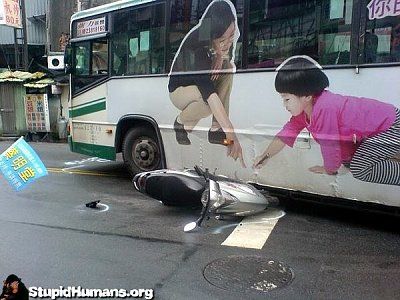stupid-human-1325676995.jpg