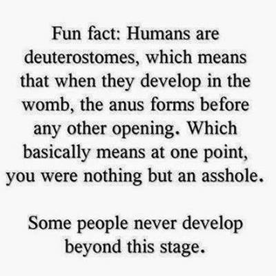 anus.jpg
