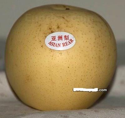 asian-rear.jpg