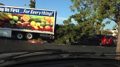 stupid-truck-driver.jpg