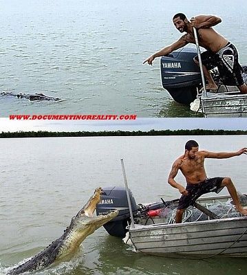 hey-look-crocodile.jpg