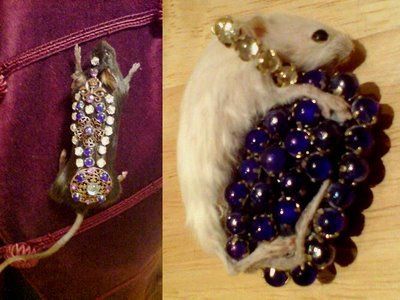 Taxidermy jeweled mouse brooch.jpg