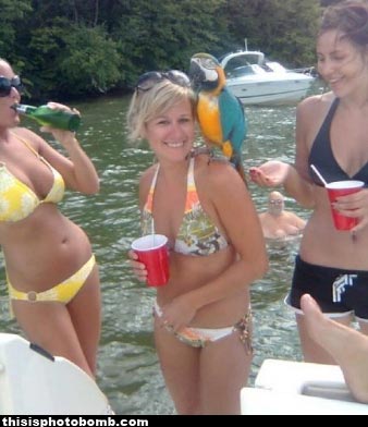 manboobs.jpg