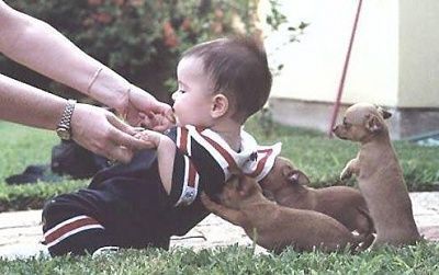 funny-hilarious-kid-child-pics-138.jpg