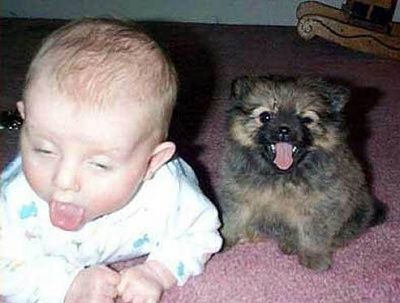 funny-hilarious-kid-child-pics-120.jpg