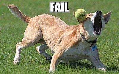 fail-4.jpg