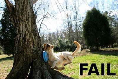 fail-15.jpg