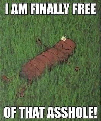 finally-20free.jpg