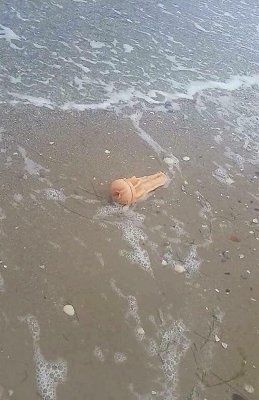 floating-20abroad.jpg