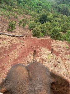 965544-bum-head-mondulkiri-province-1.jpg