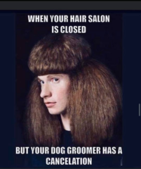 Rona_meme_IMG_2916-320x240.png