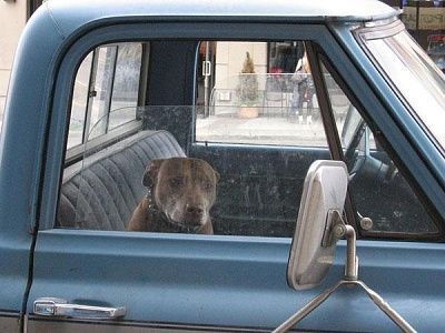 las_alarmas_de_carro_mas_raras_fto_wide.jpg