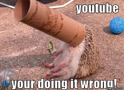 youtube_wrong.jpg