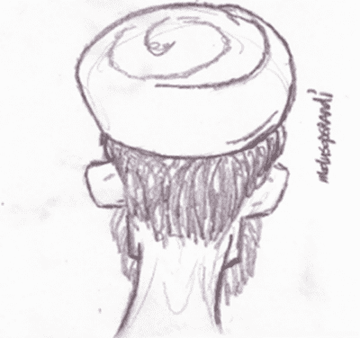 backofhead.png
