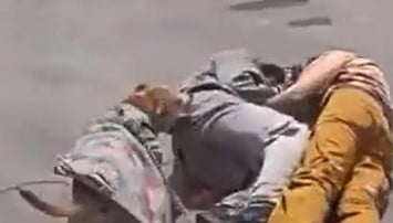 buttnip.jpg