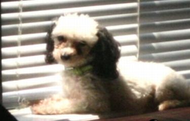 Name:  misty.jpg
Views: 505
Size:  58.8 KB