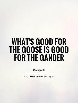 what-27s-20good-20for-20the-20goose-2001.jpg