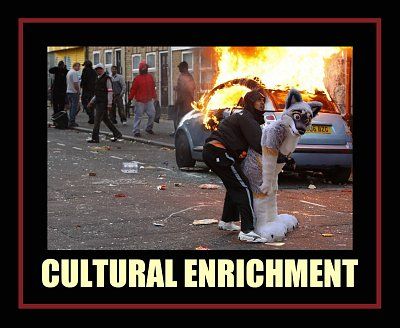 culturally-20enriched-2004.jpeg