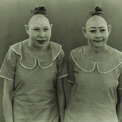 Pinhead%2001.jpg