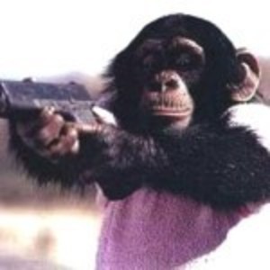 monkey-with-gun.jpg