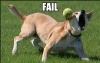 failfail3's Avatar