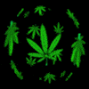 mataiafi's Avatar