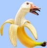 osh20's Avatar
