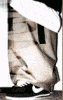 lonelyloks's Avatar