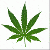 shankme's Avatar